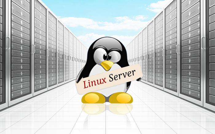 Linux Server สำหรับ Admin 
