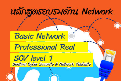 หลักสูตรอบรม Basic Network, Profession Real Network, SCV